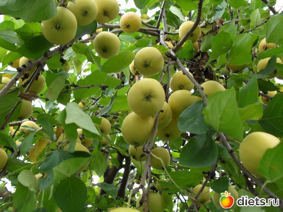 3 ����: ������ ���.