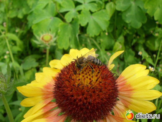 4 ����: ������ ���.