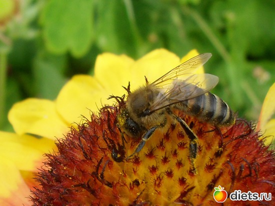 5 фото: Просто так.