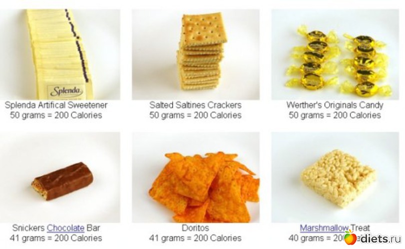 16 ����: �������