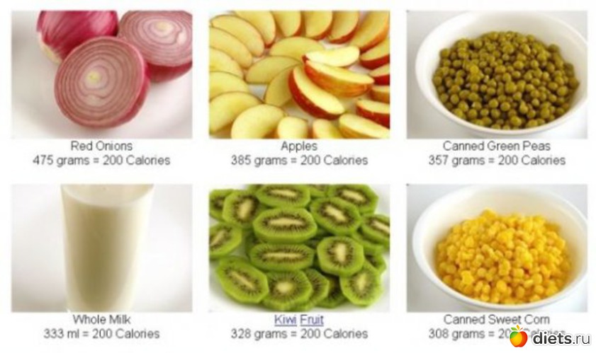 21 ����: �������