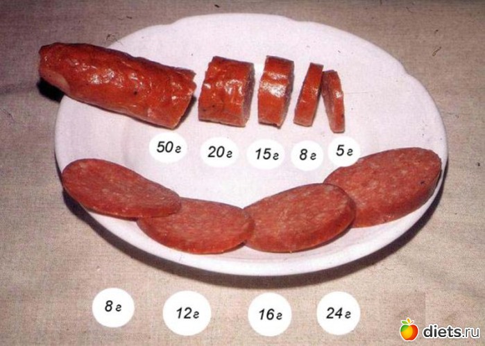 41 ����: �������