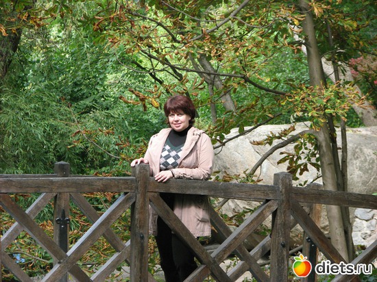 3 ����: ����� - �����