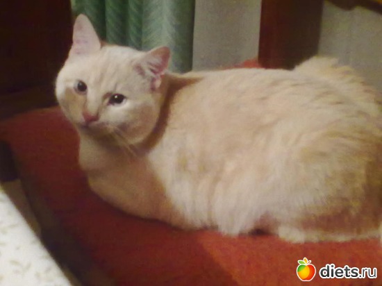 3 ����: ��������