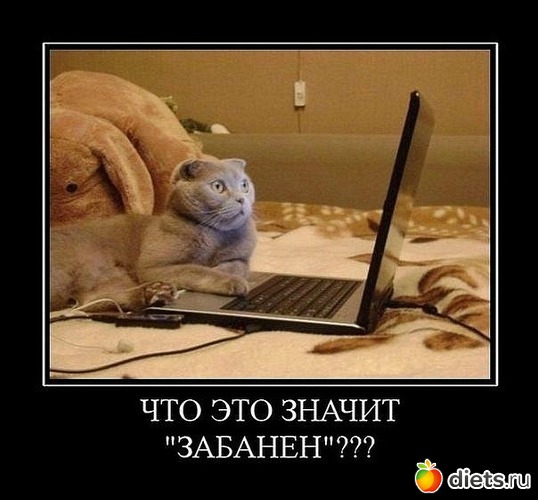 ���, ������: ������, ��������