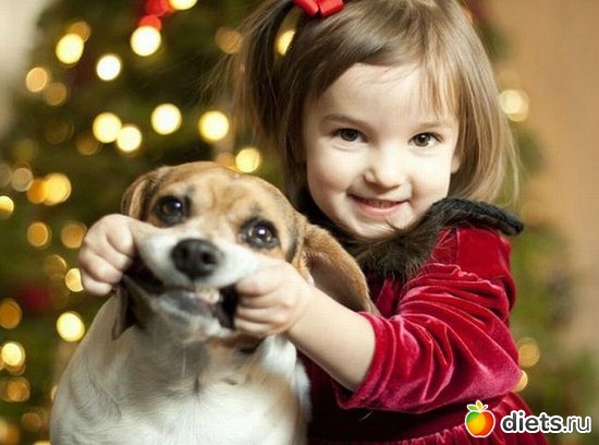 ���� ������� "���� ���������!", ������: ������, ��������