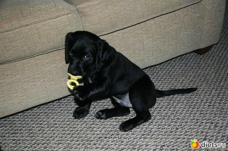 ��� �����, ������: ������, ��������