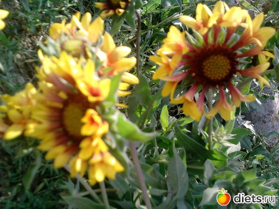 4 ����: ���� �������