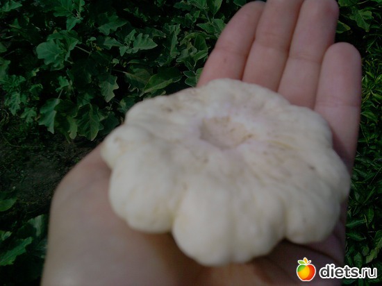 5 ����: ���� �������