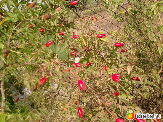 6 ����: ���� �������