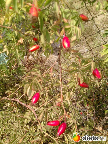 7 ����: ���� �������