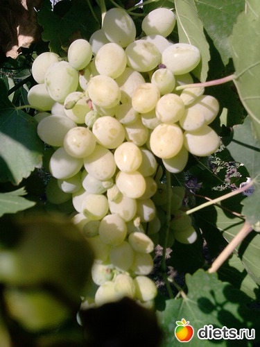 8 ����: ���� �������