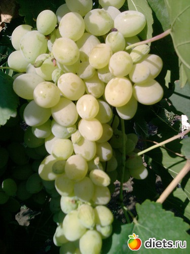 9 ����: ���� �������