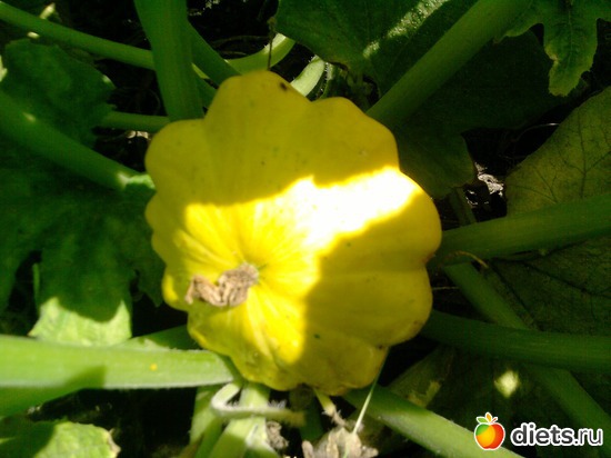 10 ����: ���� �������