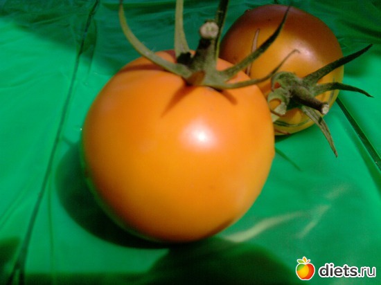 15 ����: ���� �������