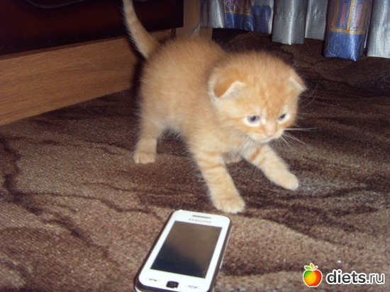 10 фото: ЖОРИК