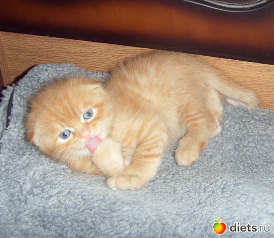 11 фото: ЖОРИК