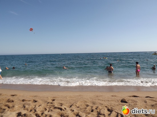 14 ����: ������� 2011