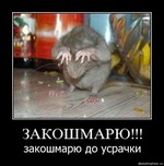 Смешные, низкокаллорийные, местами бородатые АНЕКДОТЫ!!!