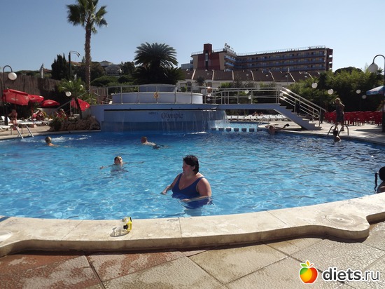 17 ����: ������� 2011