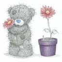 О нас девченки))))))))