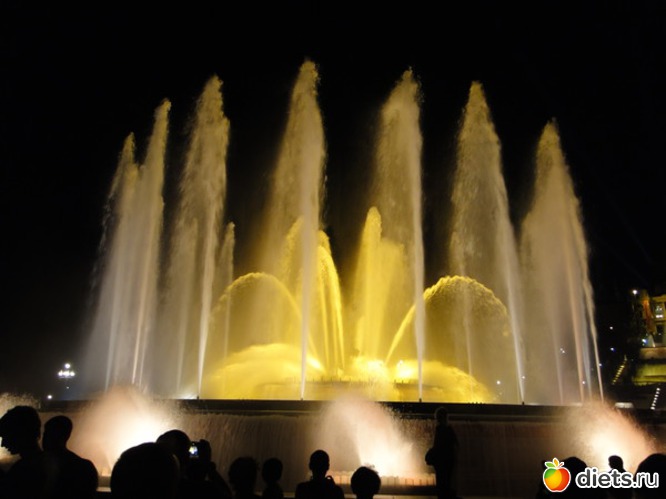 6 ����: ������� 2011