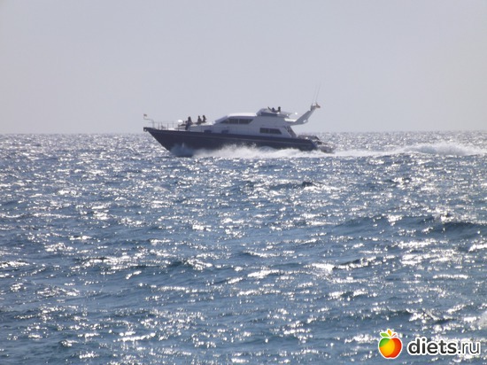 23 ����: ������� 2011