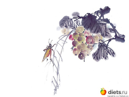 2, ������: ��������