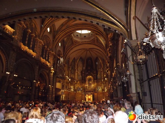 8 ����: ������� 2011