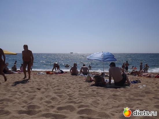 24 ����: ������� 2011