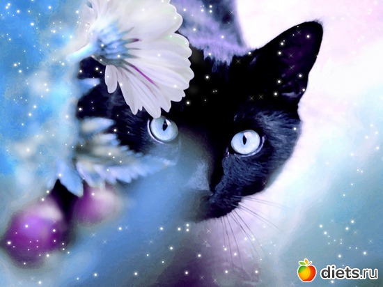 12, ������: ��������