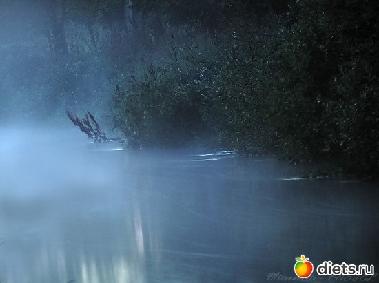 15, ������: ��������