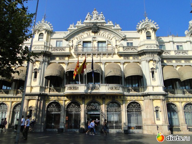 13 ����: ������� 2011