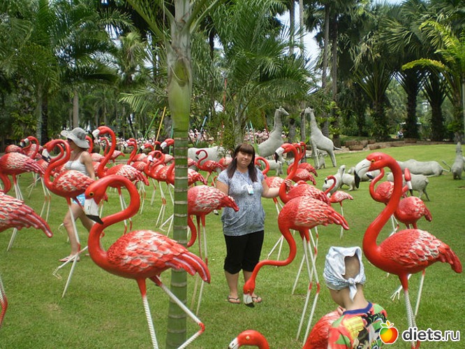 � �������� � ����� 2011�.��� 108 ��., ������: �