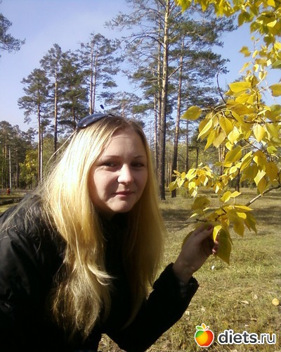 3 ����: �����