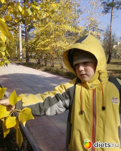 4 ����: �����