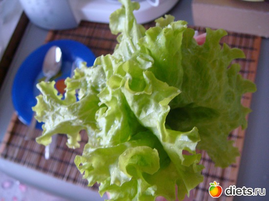 17 ����. -�������, ������: ����-�����