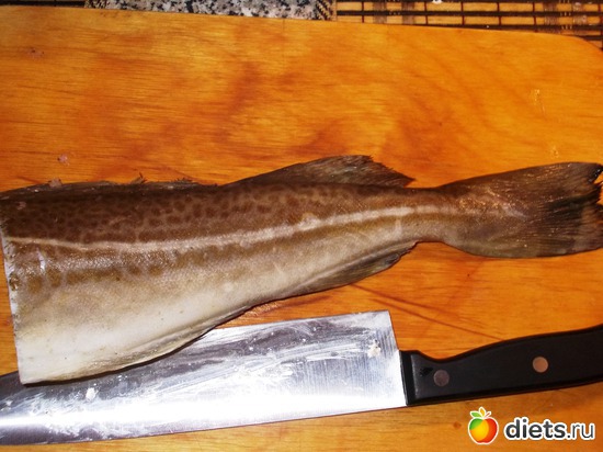 тельнОе, альбом: Мои блюда