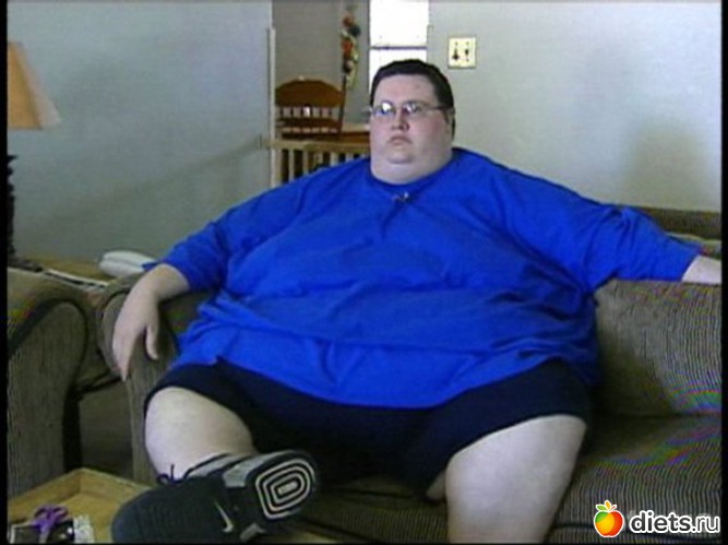 1 ����: ����������  ���������