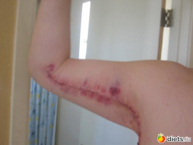 12 ����: ����������  ���������