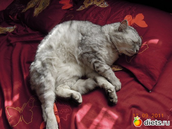 �����..., ������: ��� �������