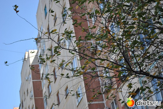 Ветер, альбом: Краснодар