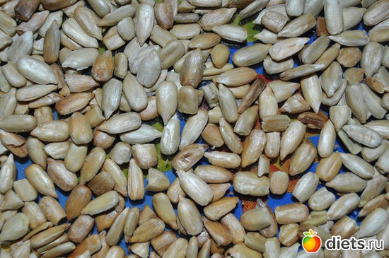 21 ����. - �������, ������: ����-�����