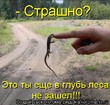 Первые результаты