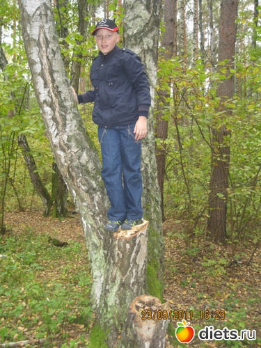 2 ����: ��� ���������