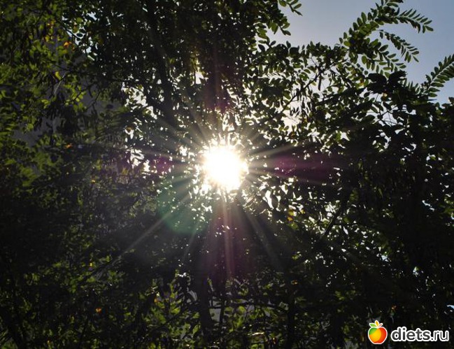 Моё солнце))), альбом: Краснодар