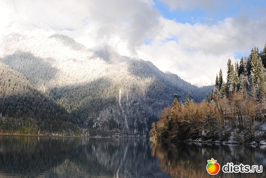 �.����, ������ 2010, ������: �������