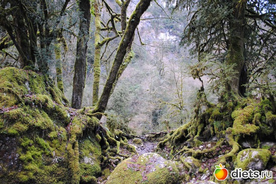 �� ���� �� �. ����, ������ 2010, ������: �������