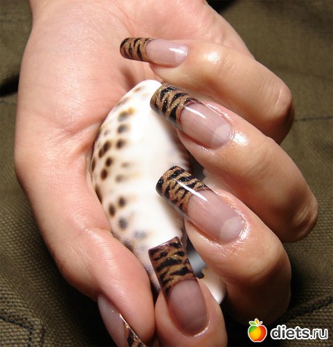 6 ����: �������