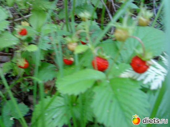 1 ����: ���� ���� � �����